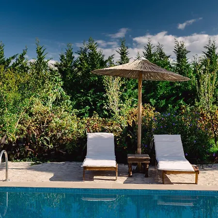 Agro Art Boutique & Luxury - Two Art With Pools, Unique Decors, And A Treehouse Option