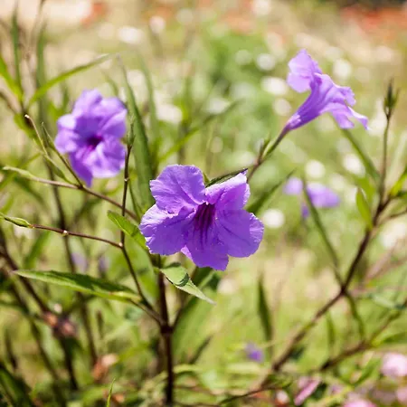 וילה Agro Art Boutique & Luxury - Two Art With Pools, Unique Decors, And A Treehouse Option *