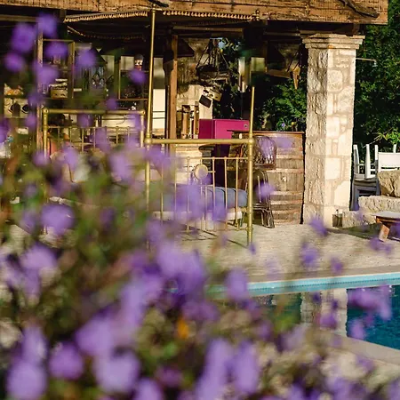 Agro Art Boutique & Luxury - Two Art With Pools, Unique Decors, And A Treehouse Option * Vanato