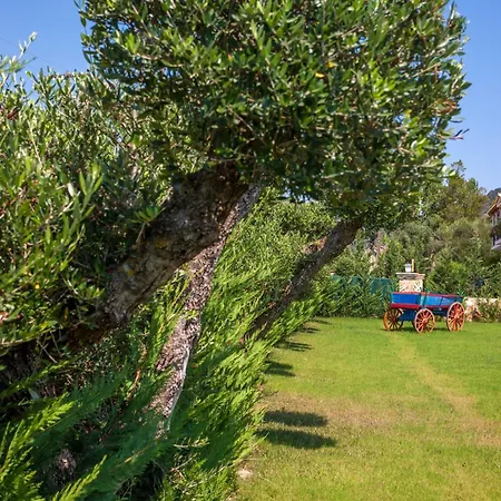 וילה Agro Art Boutique & Luxury - Two Art With Pools, Unique Decors, And A Treehouse Option Vanato