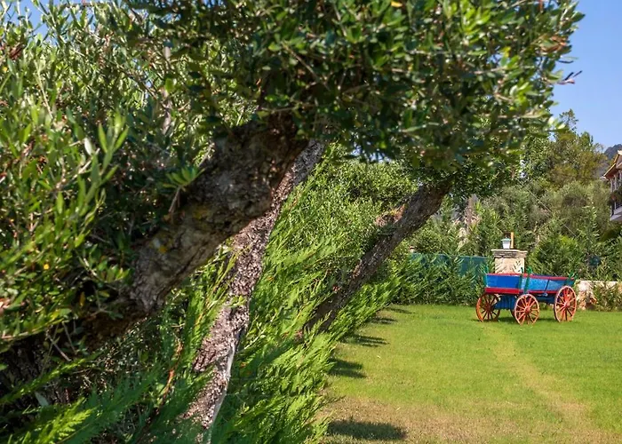 Вилла Agro Art Boutique & Luxury - Two Art With Pools, Unique Decors, And A Treehouse Option Vanato
